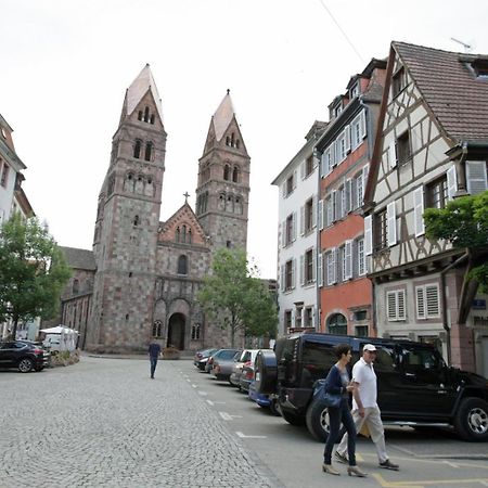 Ferienwohnung Gite Les Tourterelles Selestat - 30Min Europapark Exterior foto