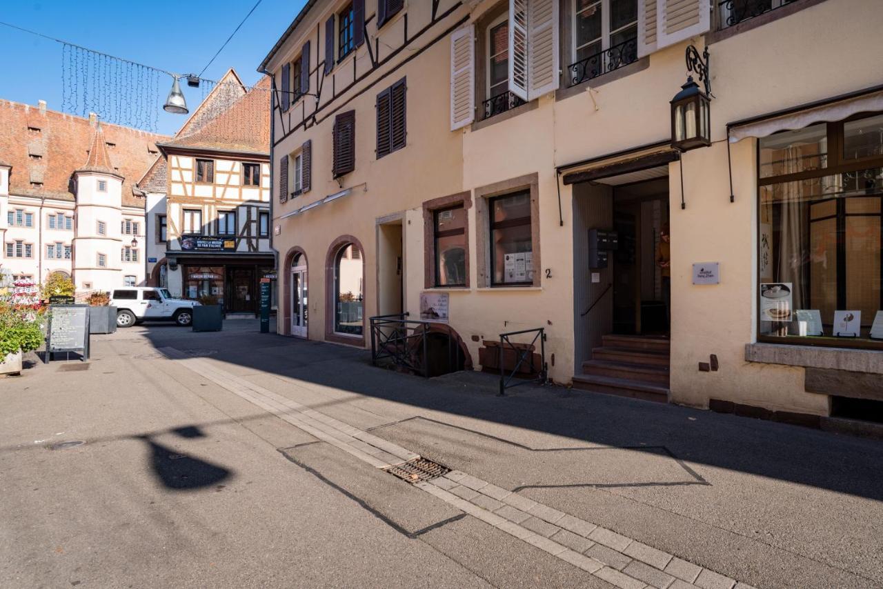 Ferienwohnung Gite Les Tourterelles Selestat - 30Min Europapark Exterior foto