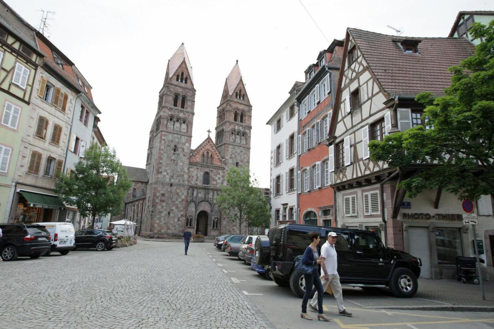 Gite Les Tourterelles Selestat - 30Min Europapark Exterior foto